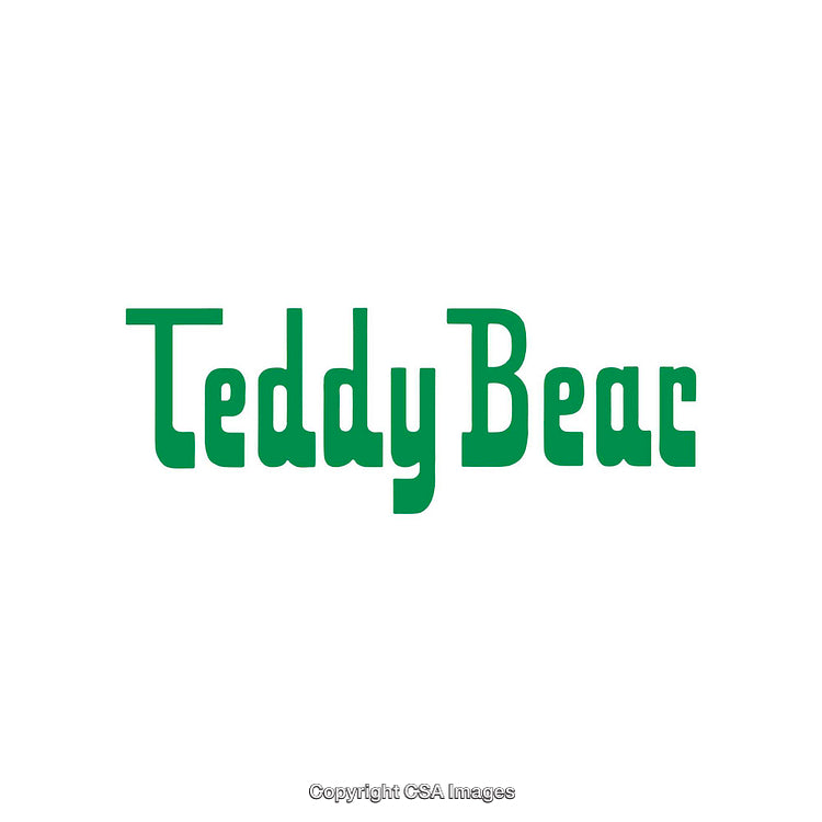 Green Text Logo Reading Teddy Bear on Clean White Background