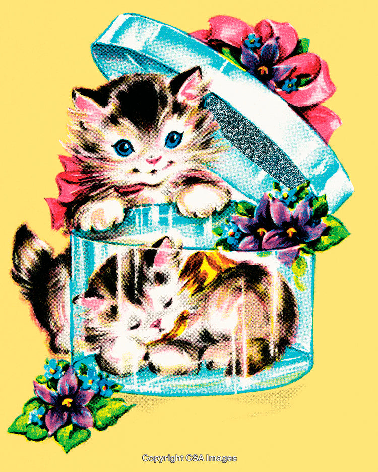 Adorable Kittens in a Decorative Box With Floral Accents
