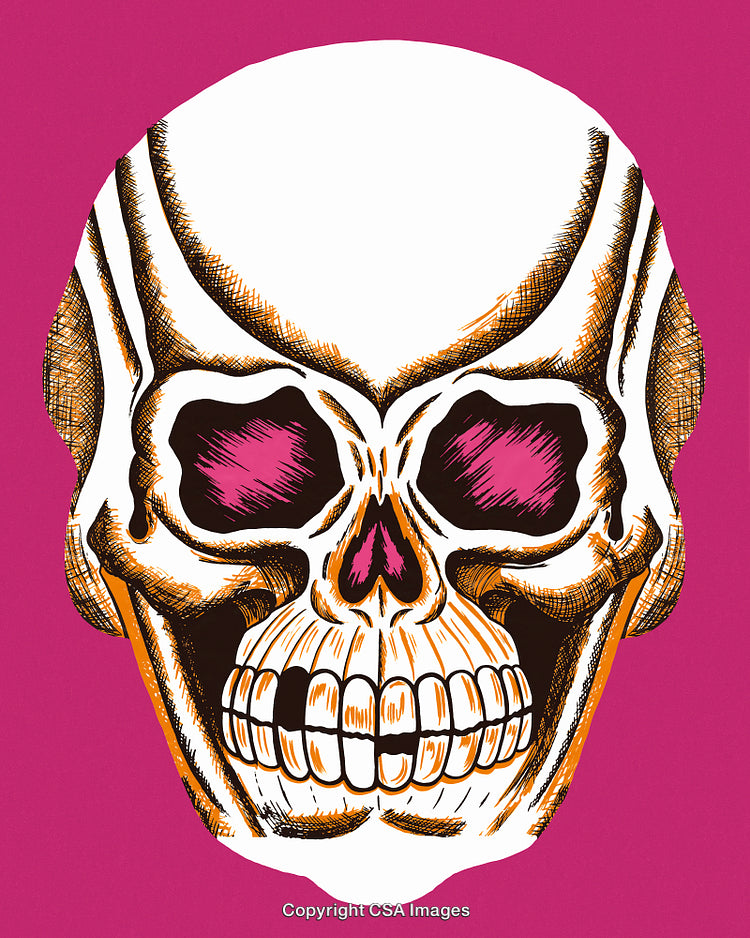 Colorful Artistic Skull Illustration with Pink Background and Detailed Features