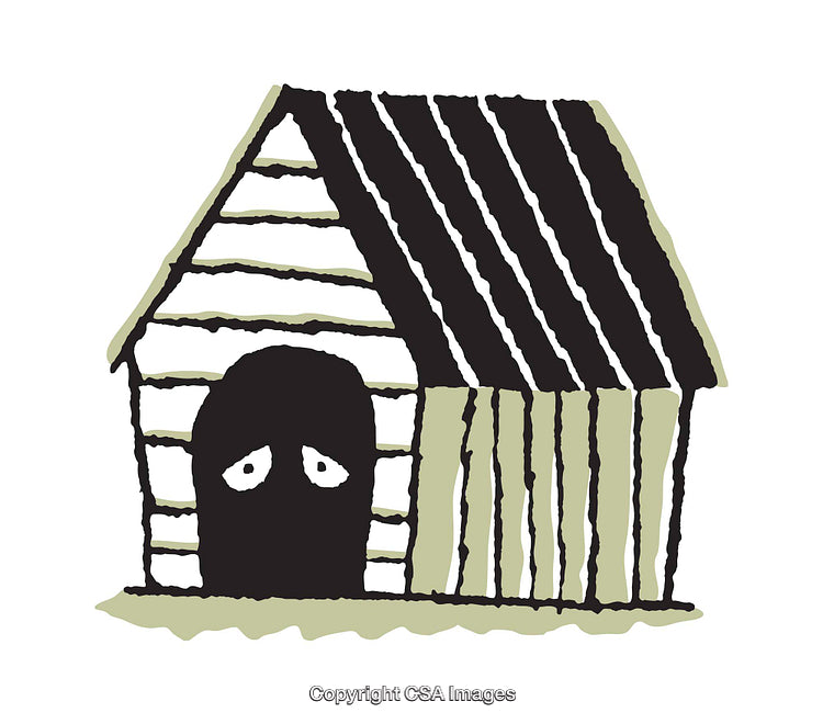 Rustic Shack Illustration with Simplistic Lines and Muted Colors