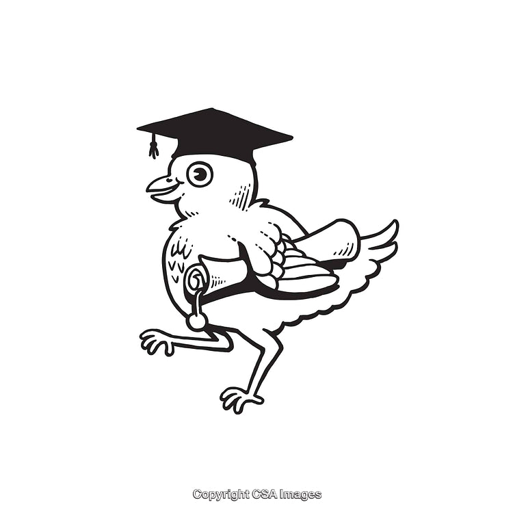 Cartoon Bird Graduation Illustration Wearing Cap and Holding Diploma