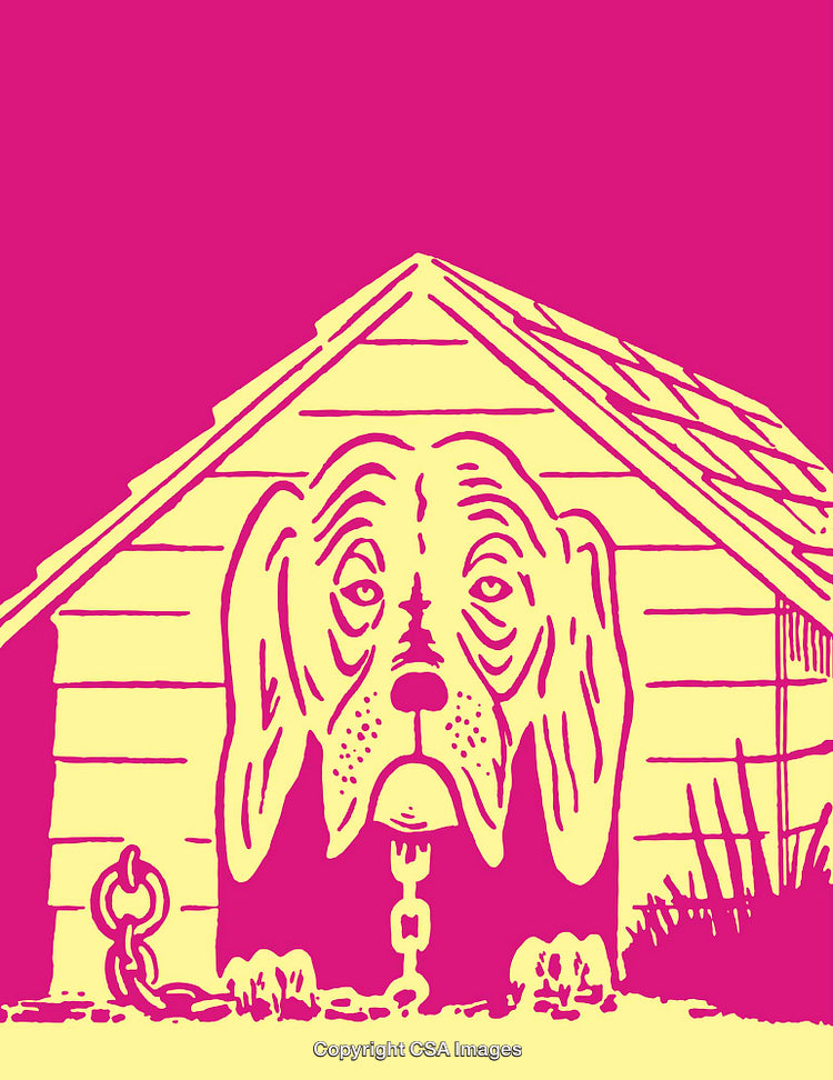 Illustration of a Sad Dog Inside a Doghouse Using Bold Contrasting Colors
