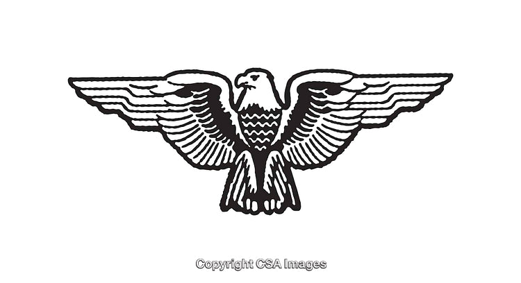 Black and White Line Art Illustration of an Eagle with Spread Wings