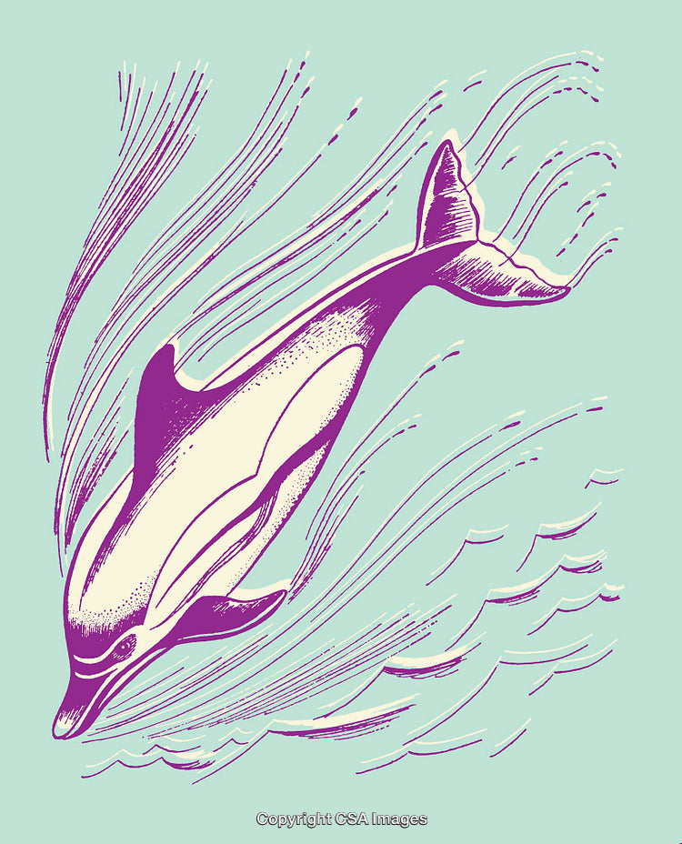 Colorful Line Art Illustration of a Dolphin Swimming Through Ocean Waves