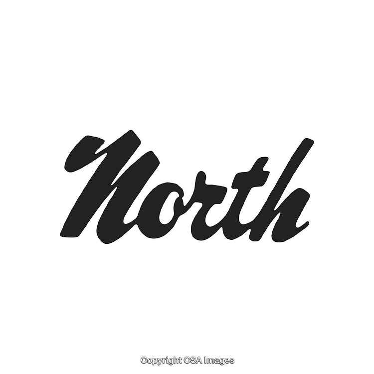 Stylish Black 'North' Text Design on Clean White Background