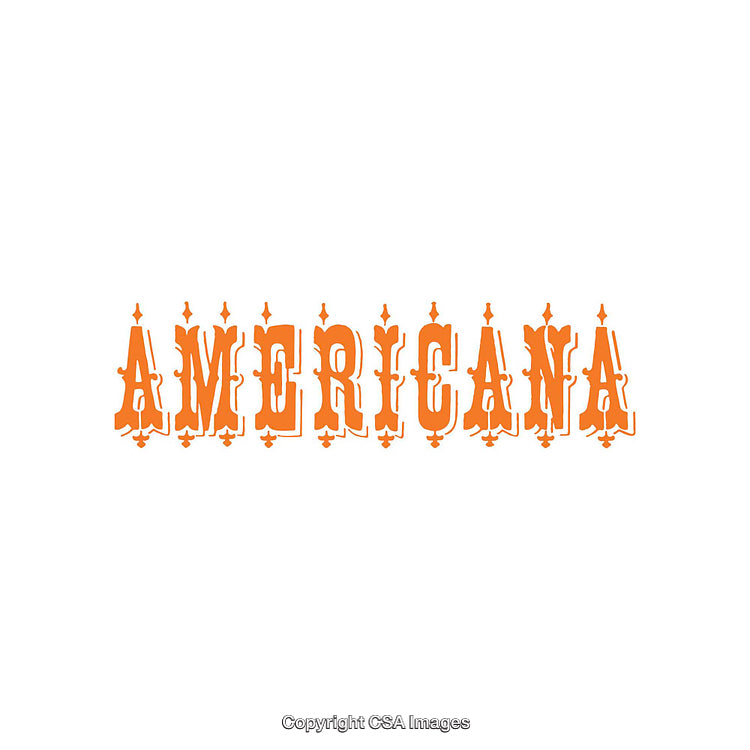 Americana Themed Typography in Bold Orange on White Background