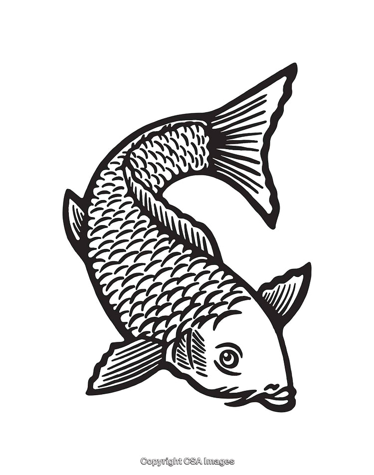 Detailed Black and White Line Art Illustration of a Koi Fish