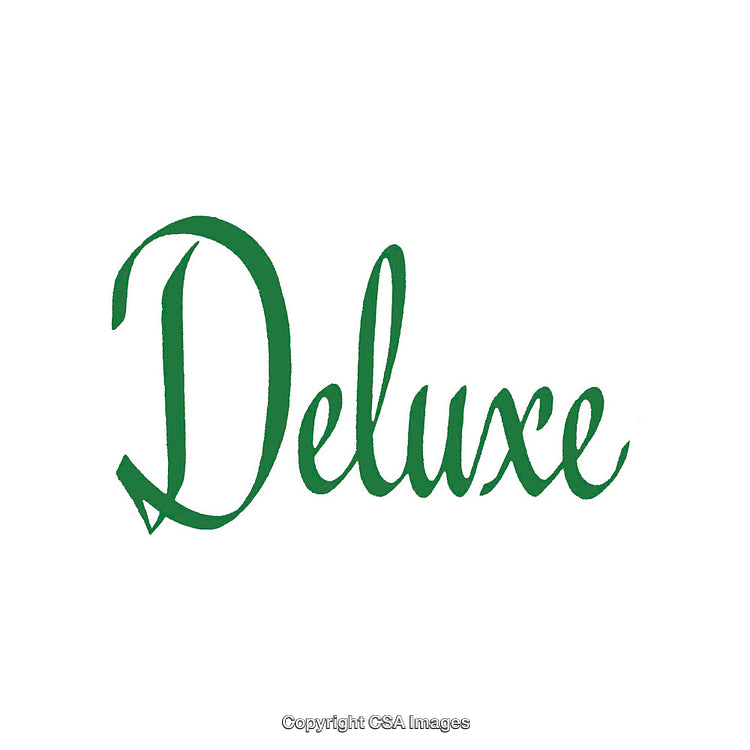 Elegant Green Calligraphic Typeface Design on White Background