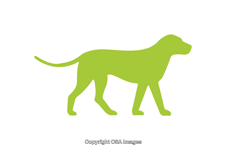 Green Silhouette of a Walking Dog Icon on White Background