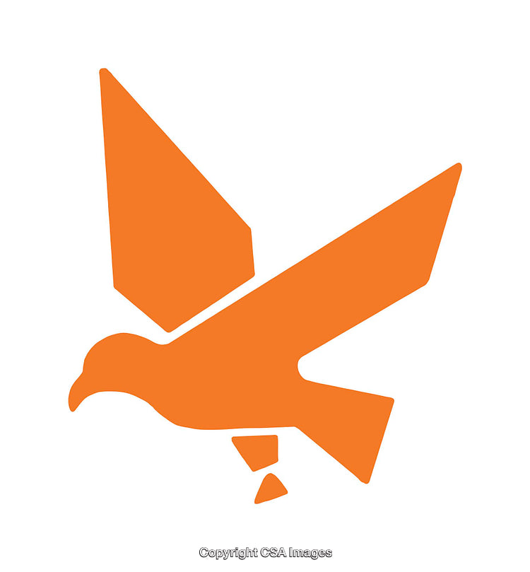 Orange Geometric Bird Silhouette Design on a White Background