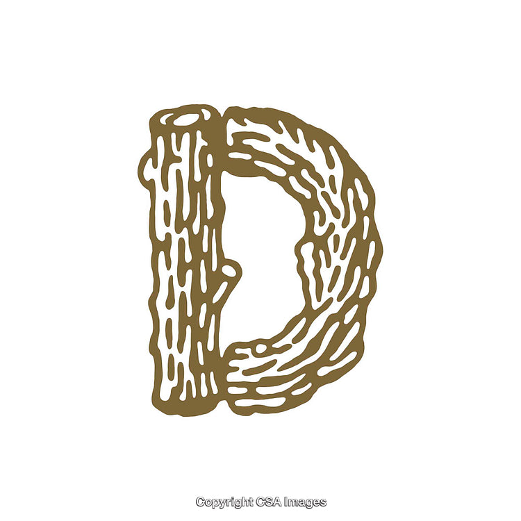 Creative Artistic Textured Letter D Design