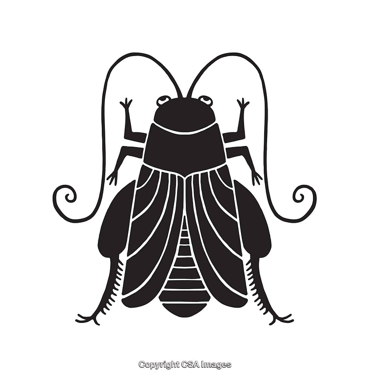 Black and White Line Art of a Stylized Cricket Insect