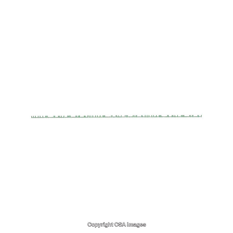 Simple Horizontal Line on a Clean White Background