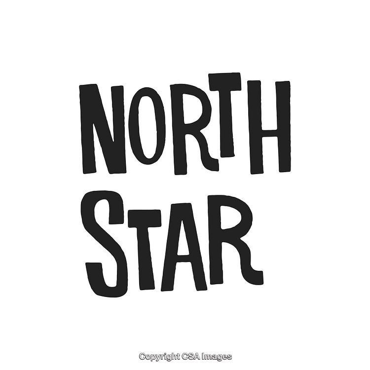 Bold Black Text Reading 'North Star' on a White Background