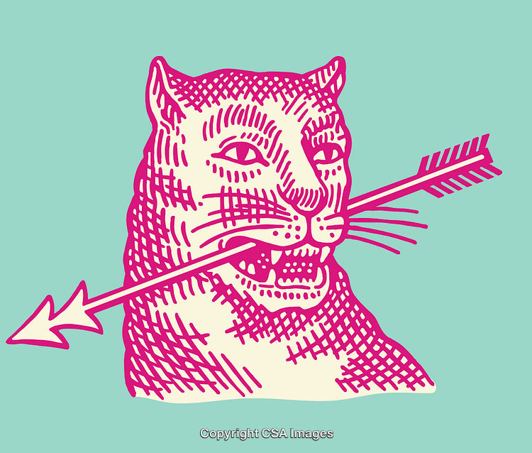 Colorful Line Art of Cat with Arrow Motif Artwork