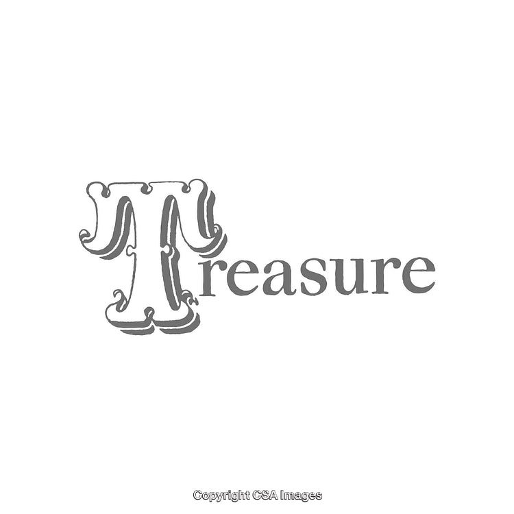 Elegant Gray Word Art Display Featuring the Word Treasure in Decorative Style