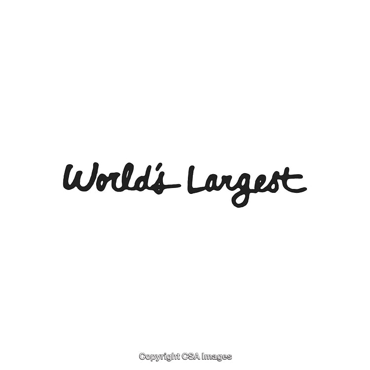Handwritten World's Largest Black Lettering on White Background