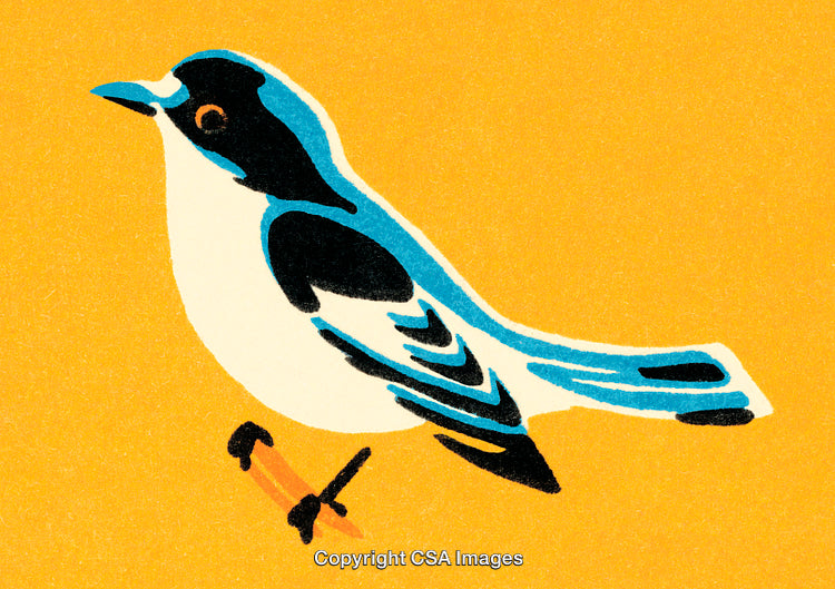 Illustration of a Colorful Bird on a Rich Yellow Background