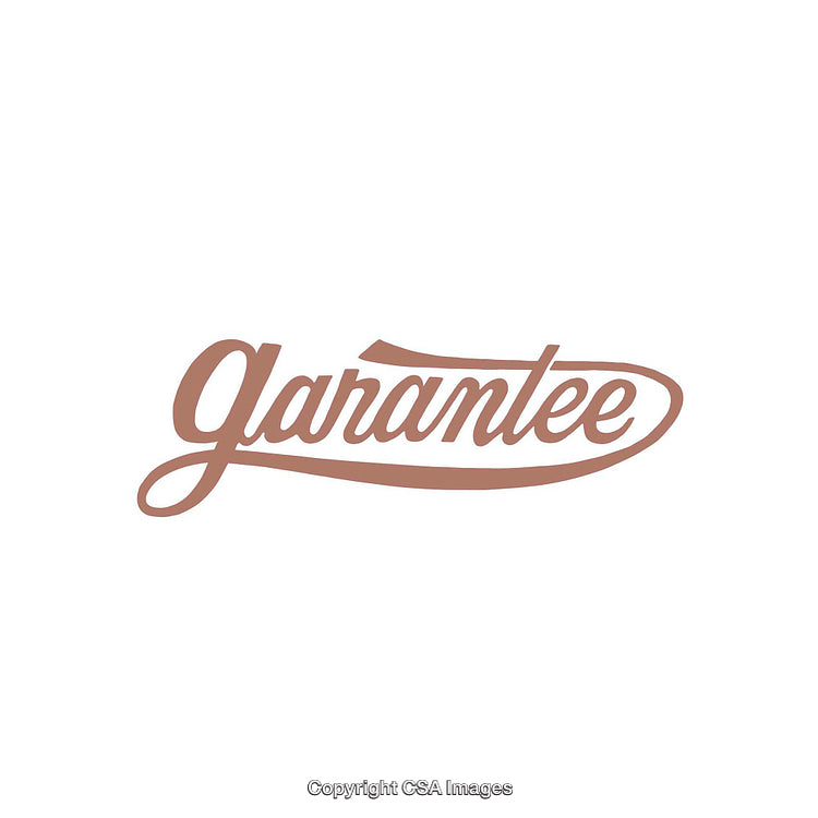Elegant Typography Design Featuring the Word 'Guarantee' in Script Style