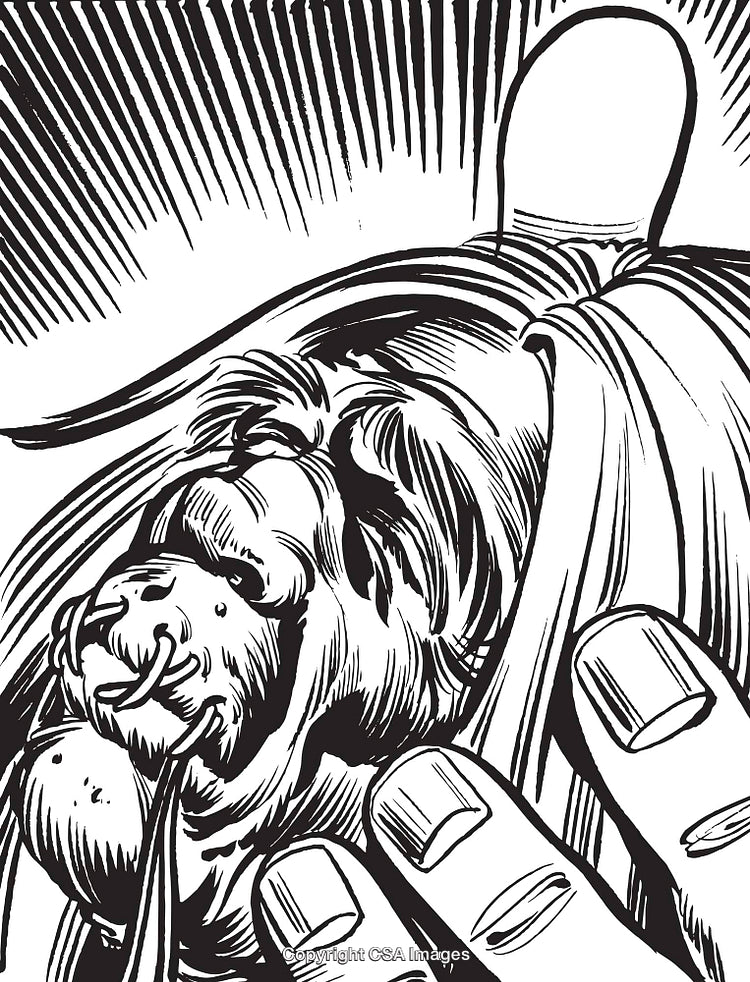 Detailed Black and White Illustration of a Lion's Head and Human Hands