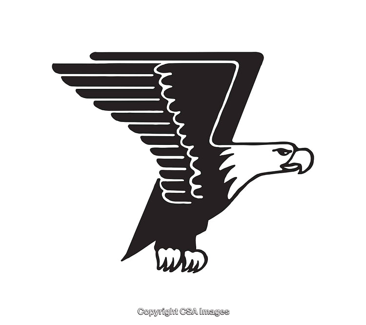 Flying Eagle Black and White Line Art Illustration for Design