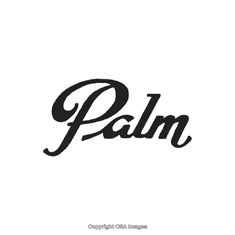 Elegant Script Typography Highlighting the Word Palm in Bold Black