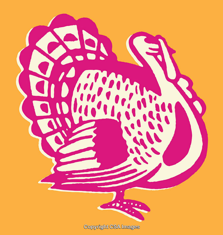 Colorful Turkey Line Art Illustration on Bright Background