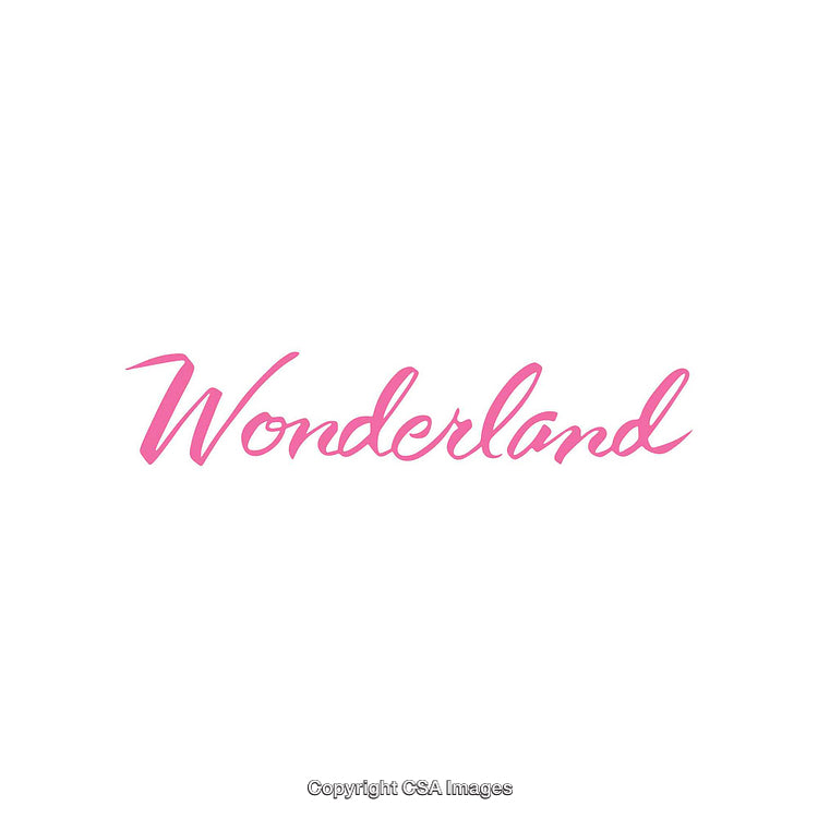 Elegant Pink Wonderland Text on a Minimalist White Background