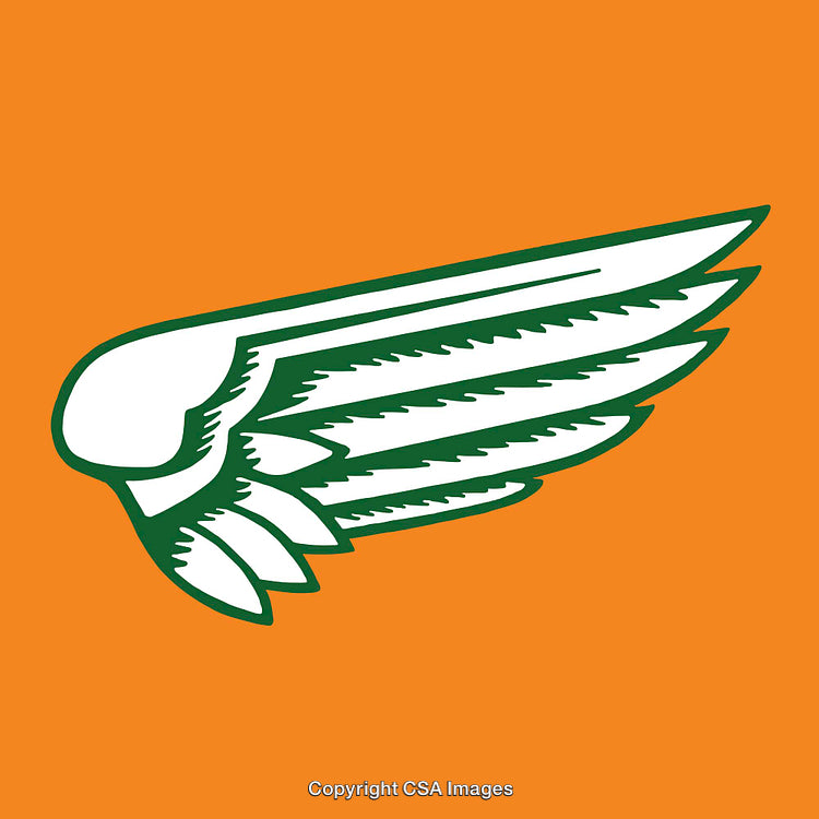 Stylized Illustration of a Green Wing on Orange Background