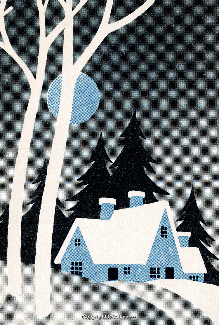 Idyllic Winter Cottage Scene with Snowy Trees and Midnight Moonlight