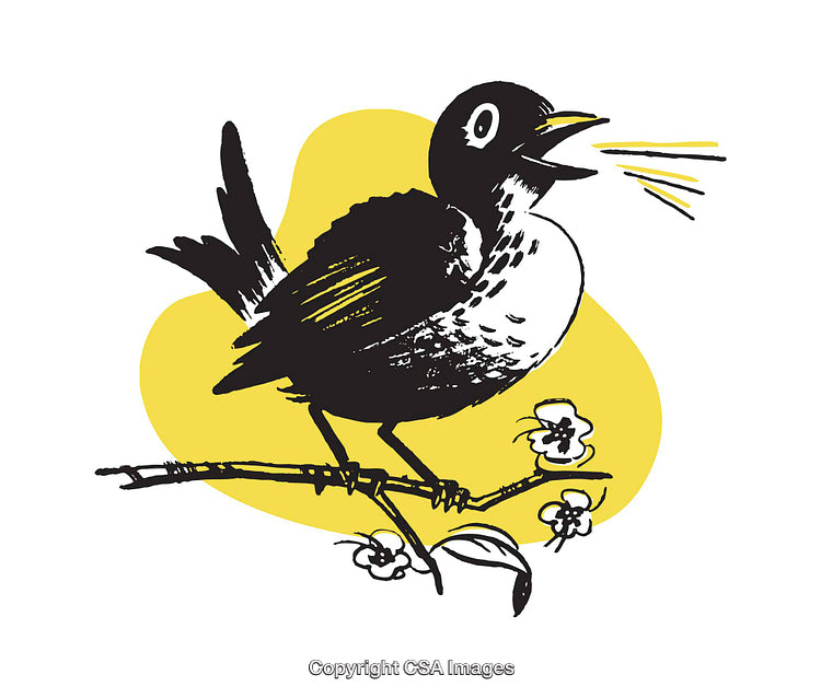 Chirping Bird on Branch with Vibrant Yellow Background Illustration