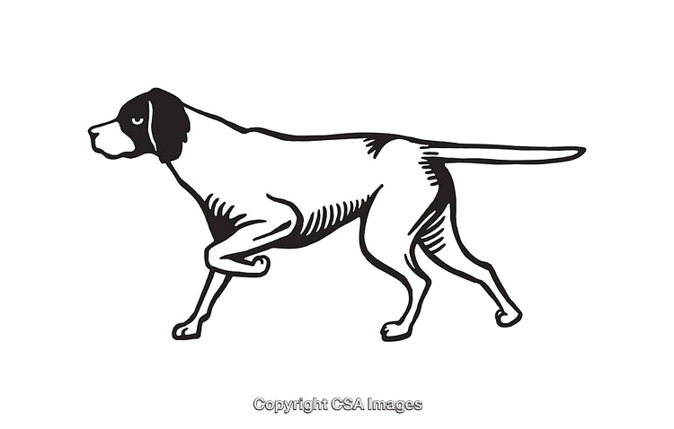 Black and White Line Art Illustration of a Standing Dog