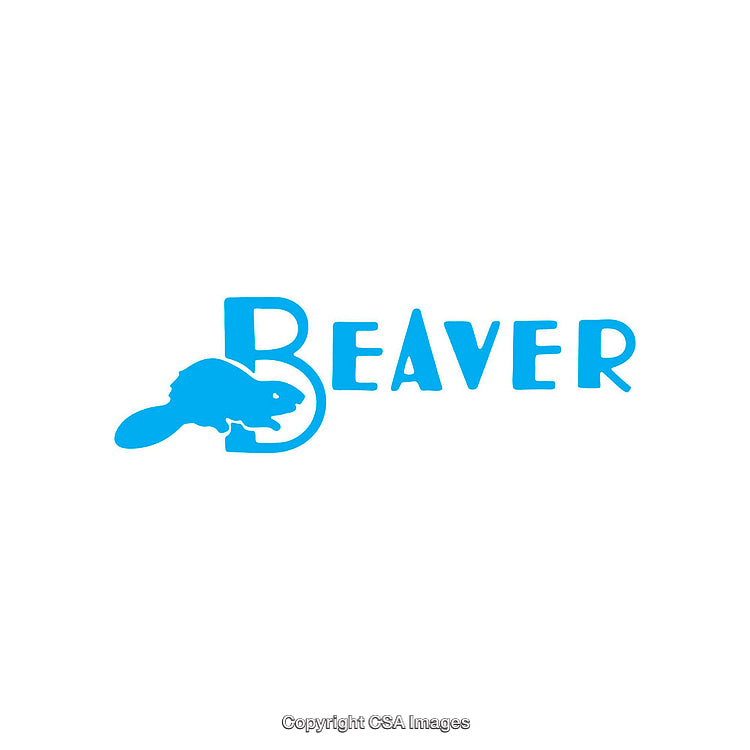 Creative Beaver Logo Design with Minimalistic Blue Icon Style
