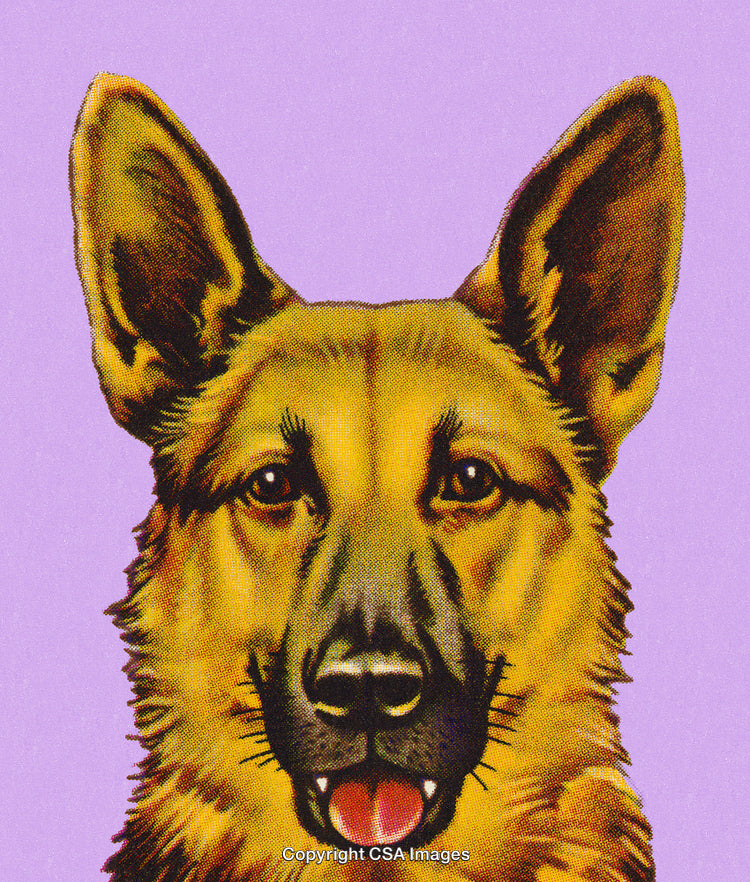 Pop-Art Styled Portrait of a German Shepherd Dog on Purple Background