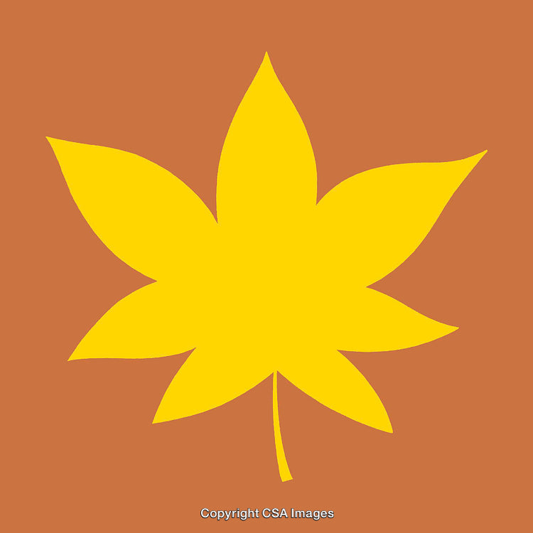 Yellow Maple Leaf Illustration on a Warm Orange Background