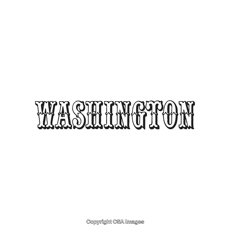 Bold Western-Style Typography Display Featuring the Name 'Washington'
