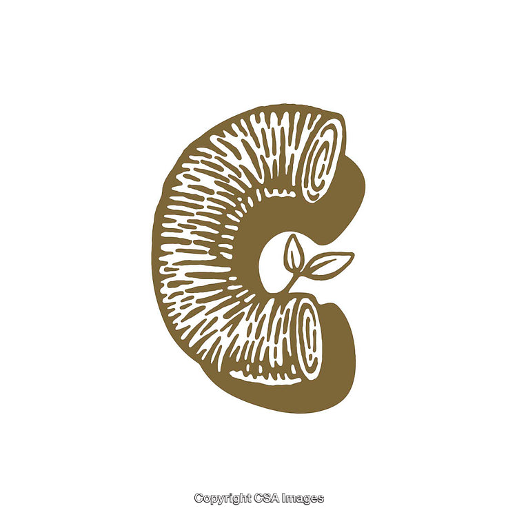 Wooden Style Letter C with Leaf Design Elements