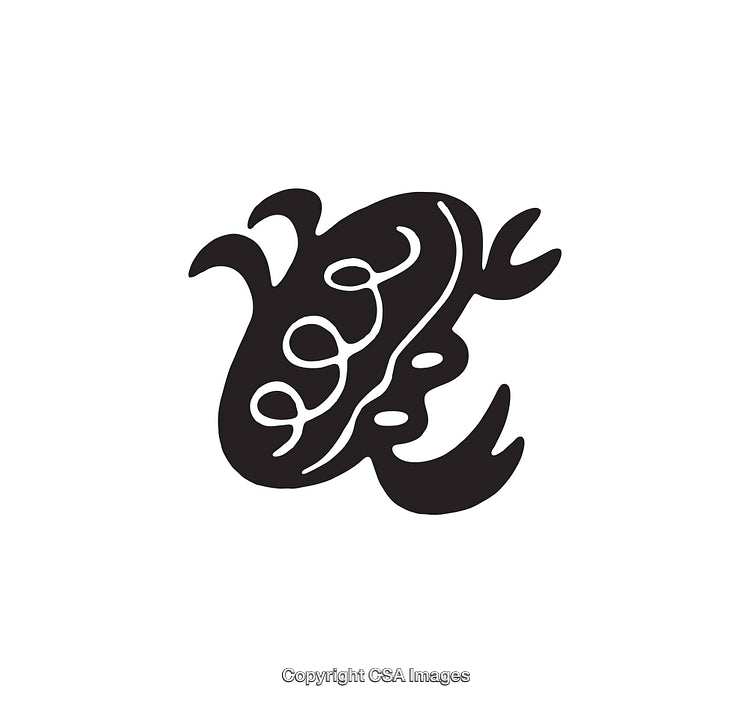 Abstract Black and White Graphic Symbol with Organic Lines and Shapes