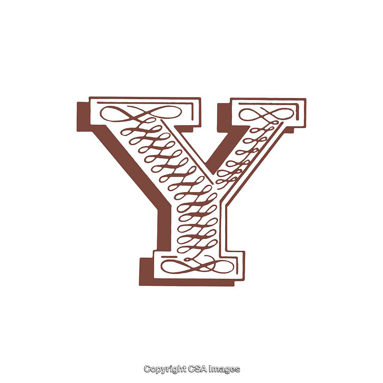 Elegant Decorative Letter Y With Ornamental Design on White