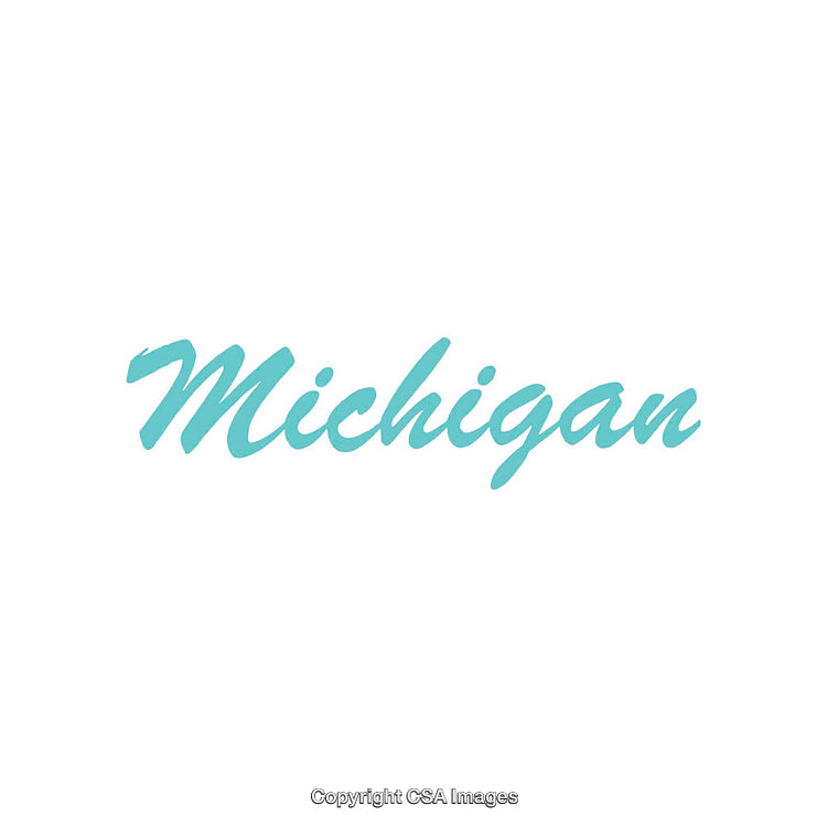 Elegant Blue "Michigan" Text on Clean White Background