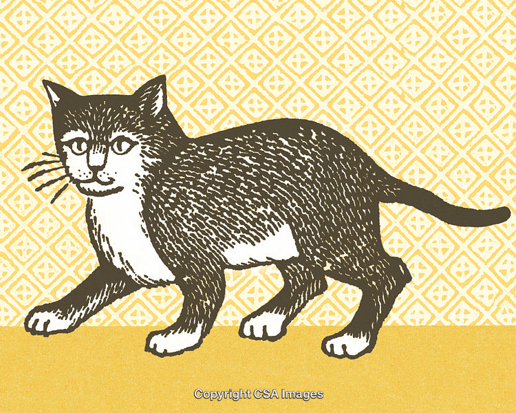 Illustration of a Cat in a Vintage Style with Decorative Background