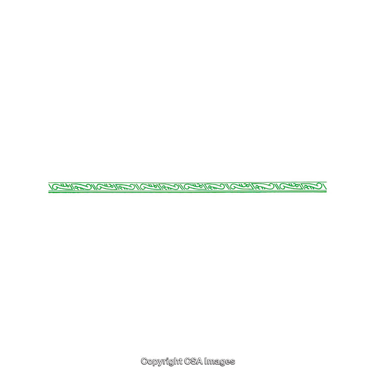 Green Ornamental Line Design on a White Background with Intricate Patterns
