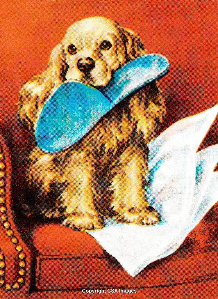 Golden Dog Holding Blue Slipper on a Comfortable Red Sofa