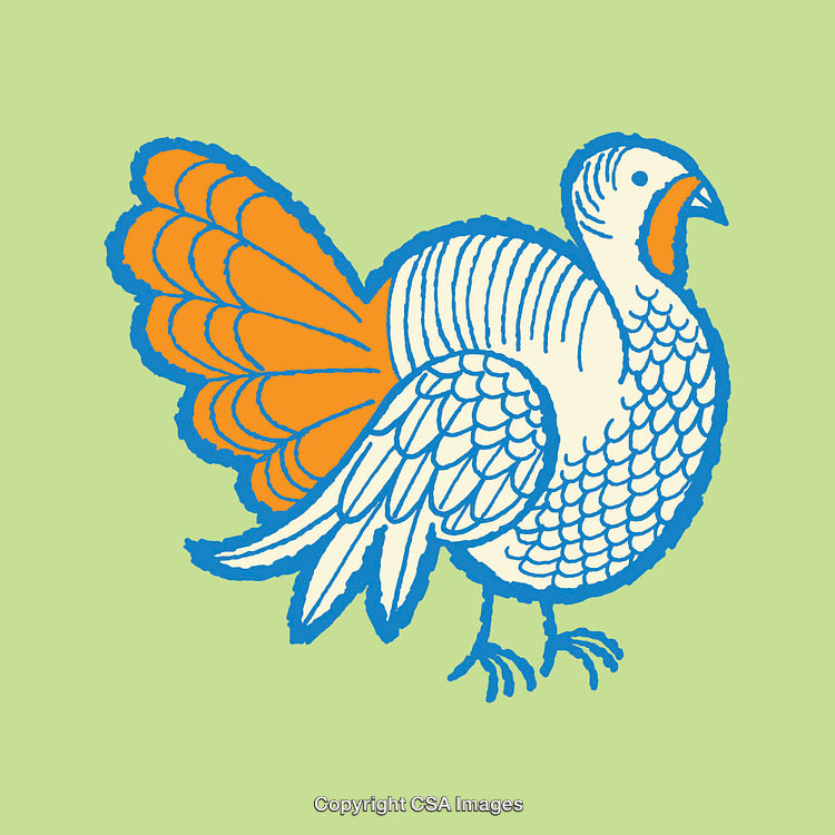 Colorful Line Drawing of a Turkey on Green Background