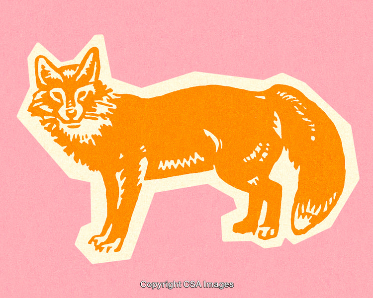 Vibrant Orange Fox Silhouette Featuring Artistic Design on Pink Background