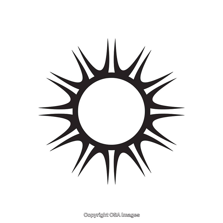 Black and White Sun-Shaped Symbol with Stylized Rays on White Background