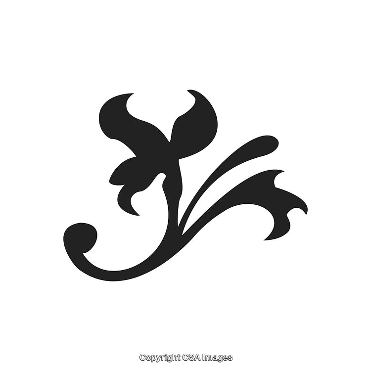 Elegant Decorative Black and White Floral Ornament