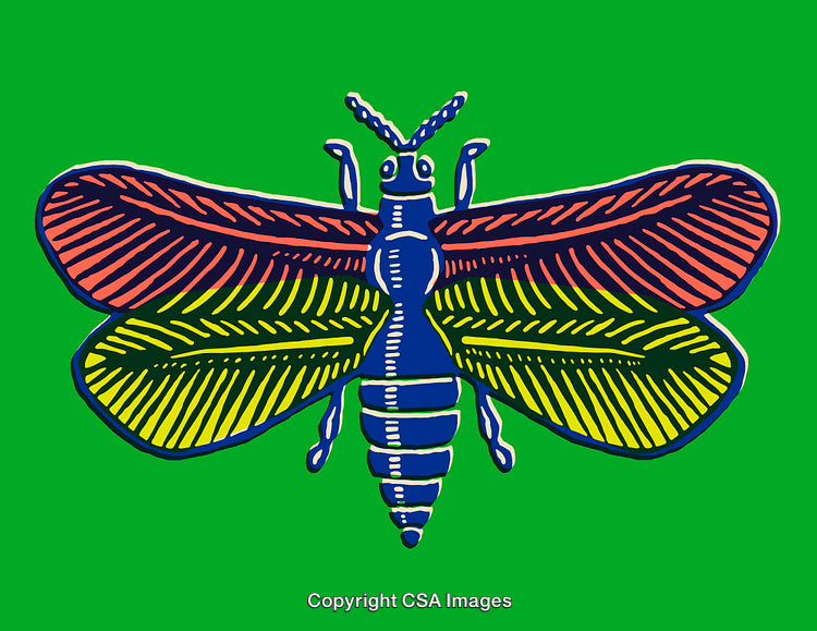 Colorful Line Art Illustration Of A Vibrant Insect On Green Background