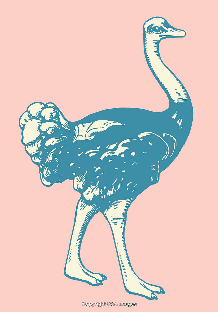 Stylized Line Art Illustration of an Ostrich on a Pastel Background