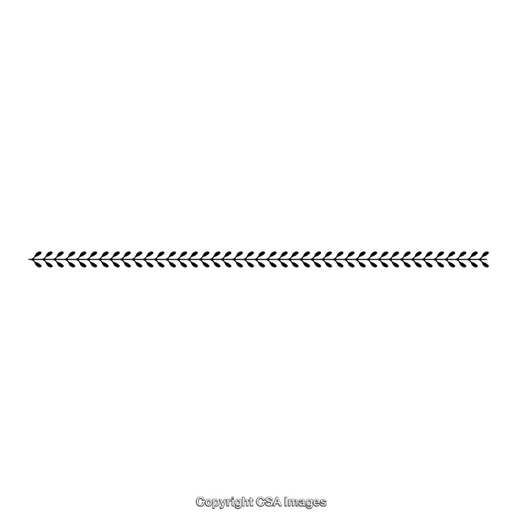 Elegant Black And White Thin Decorative Border Design Element